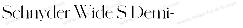 Schnyder Wide S Demi字体转换